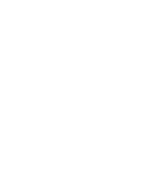 Ikona miasto